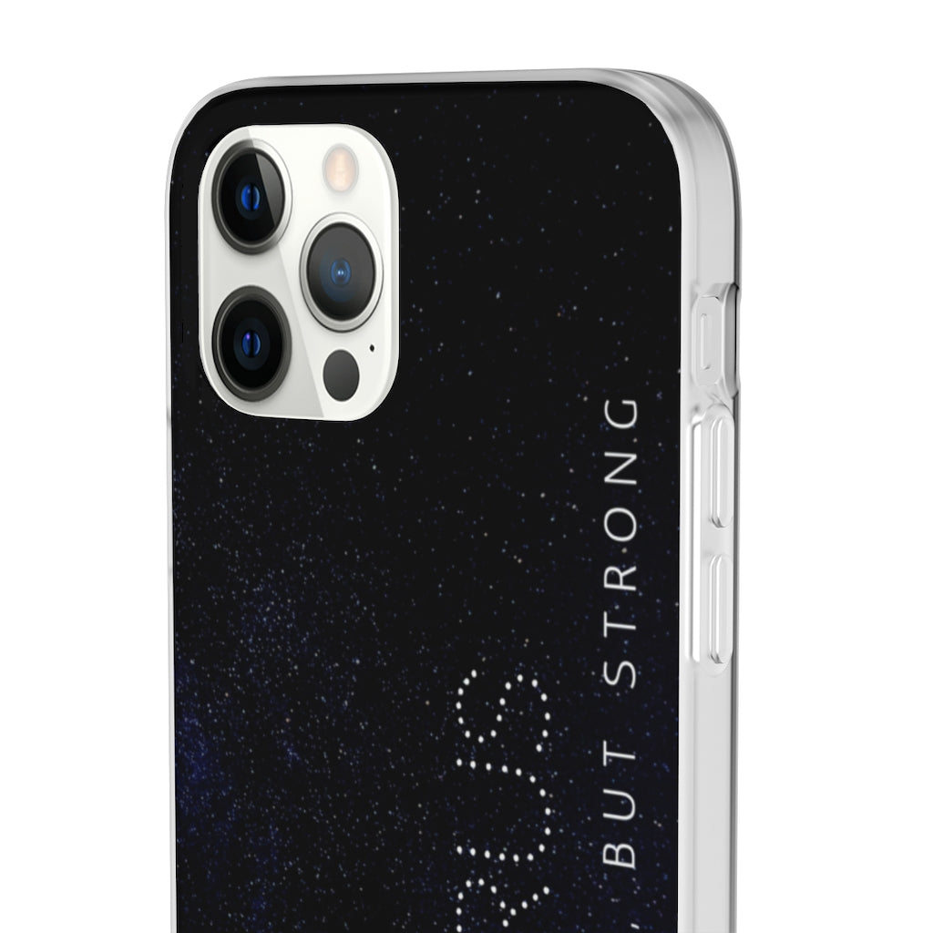 Taurus Flexi Cases