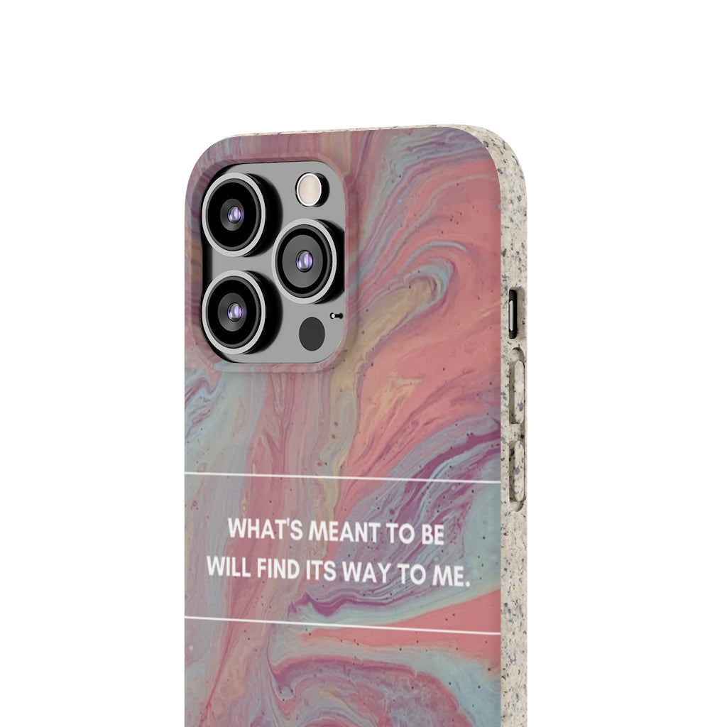What's Meant To Be Biodegradable Case