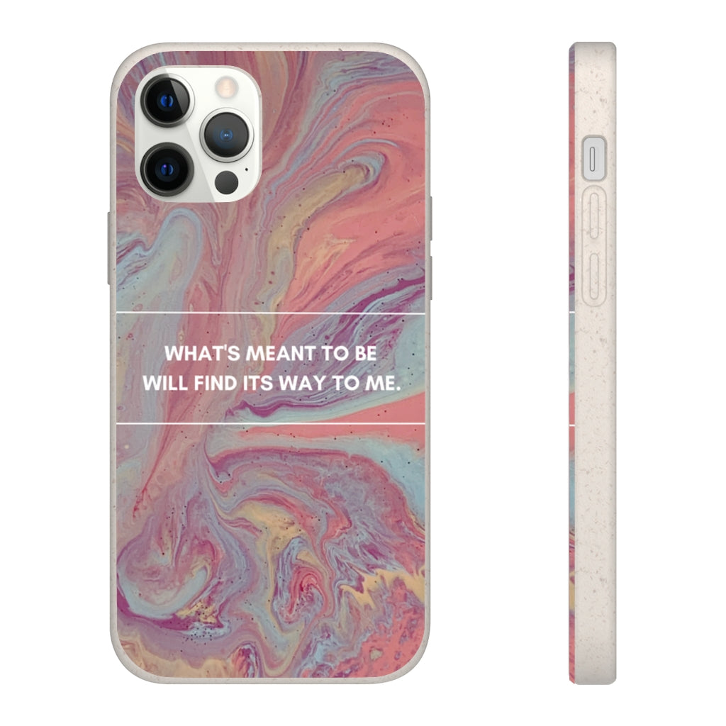 What's Meant To Be Biodegradable Case