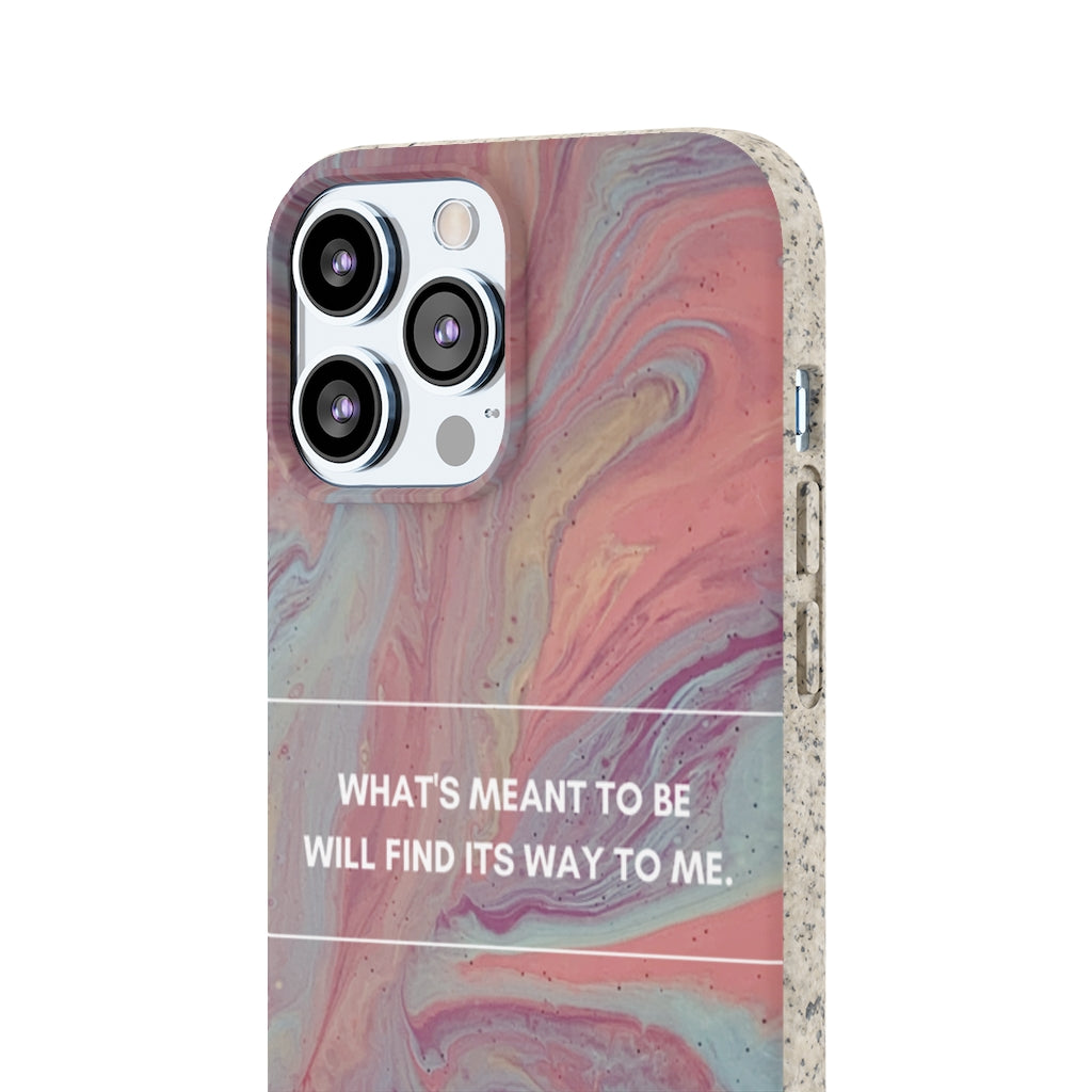 What's Meant To Be Biodegradable Case