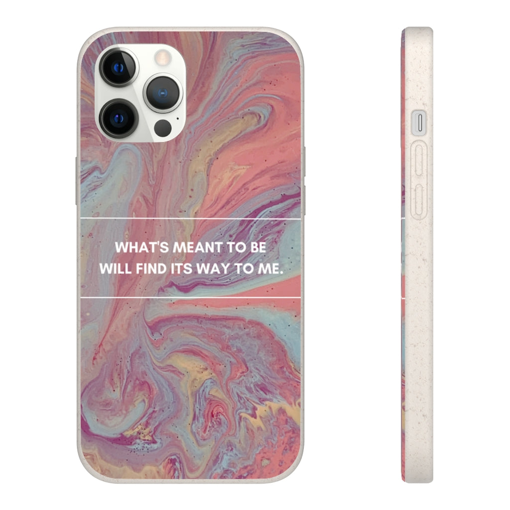 What's Meant To Be Biodegradable Case