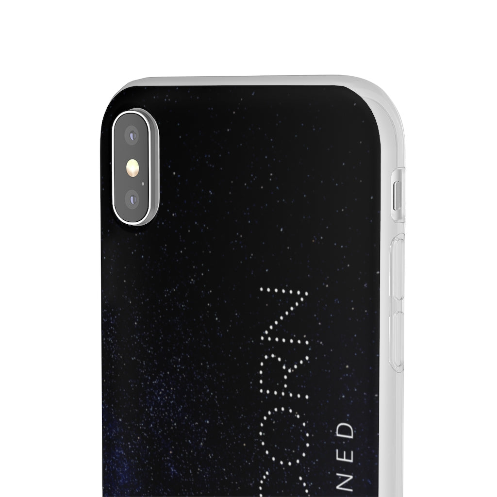 Capricorn Flexi Cases
