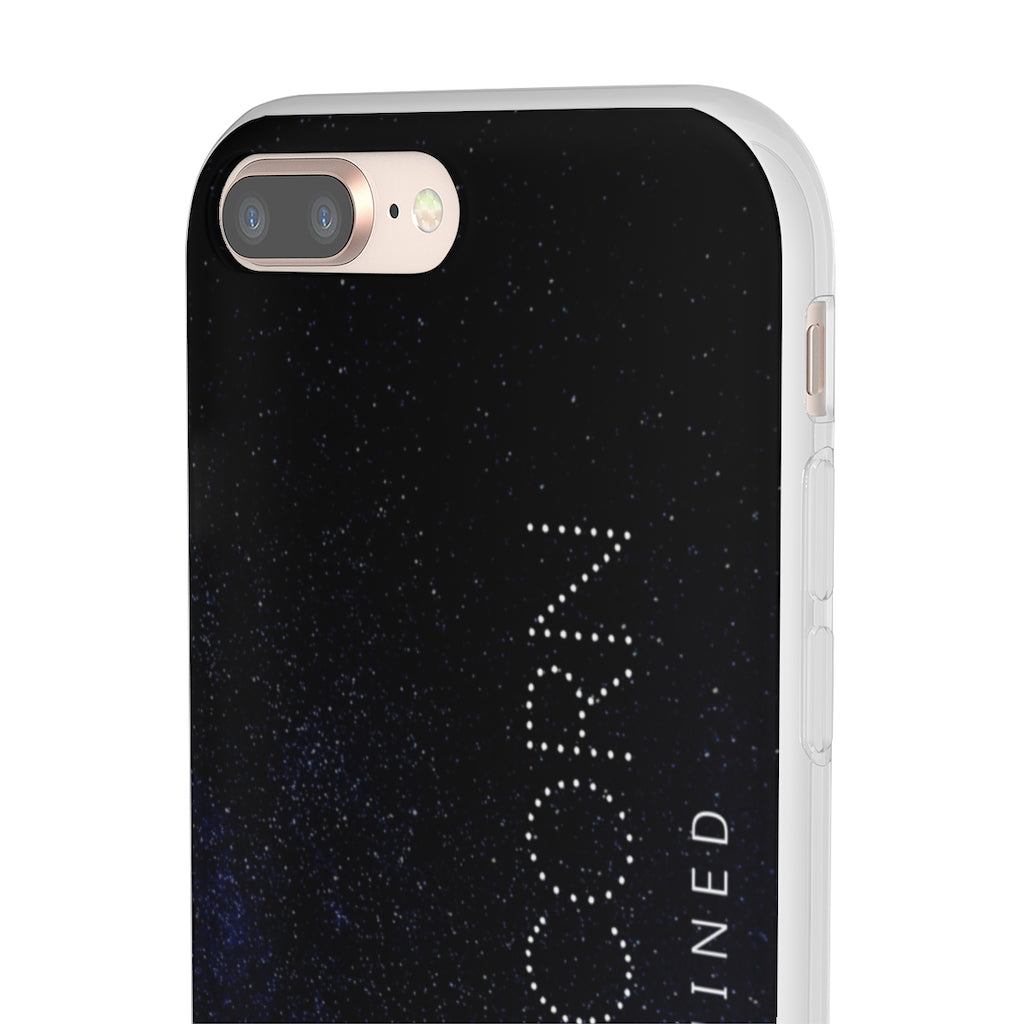 Capricorn Flexi Cases