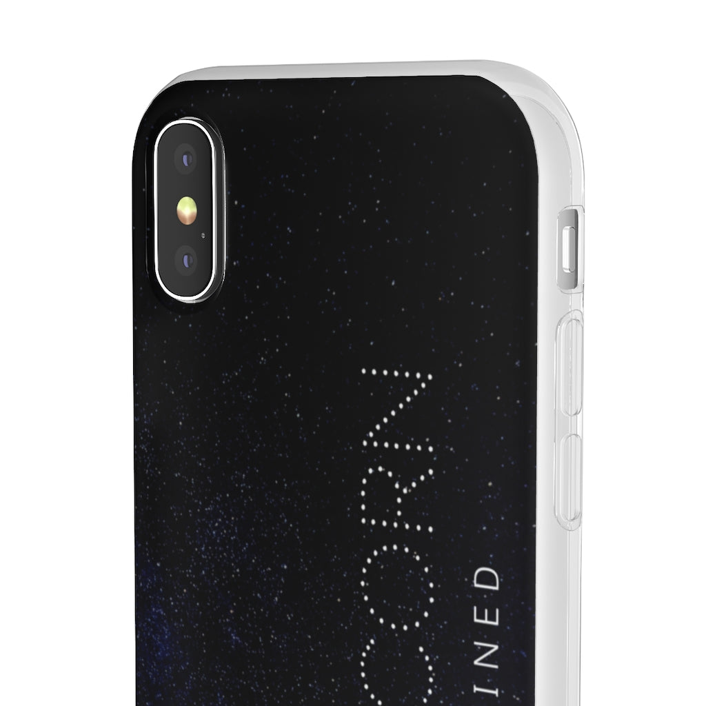 Capricorn Flexi Cases