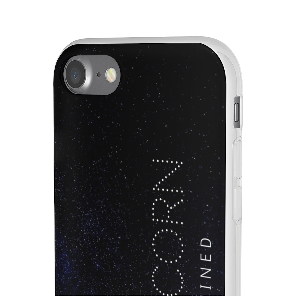 Capricorn Flexi Cases