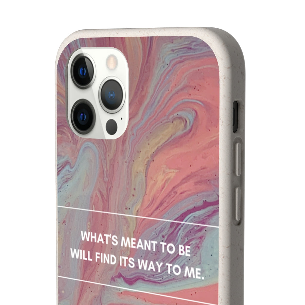 What's Meant To Be Biodegradable Case