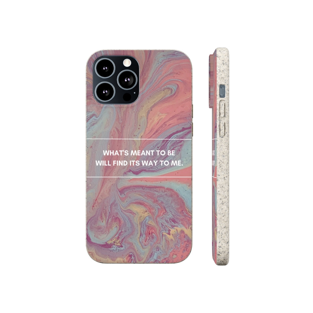 What's Meant To Be Biodegradable Case