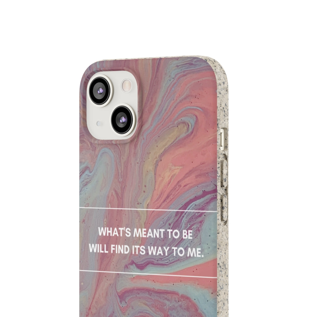 What's Meant To Be Biodegradable Case