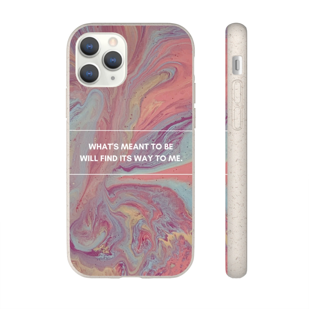 What's Meant To Be Biodegradable Case