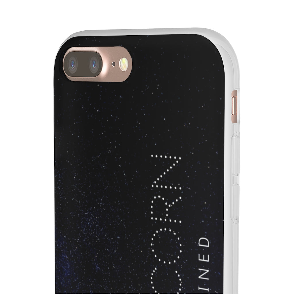 Capricorn Flexi Cases
