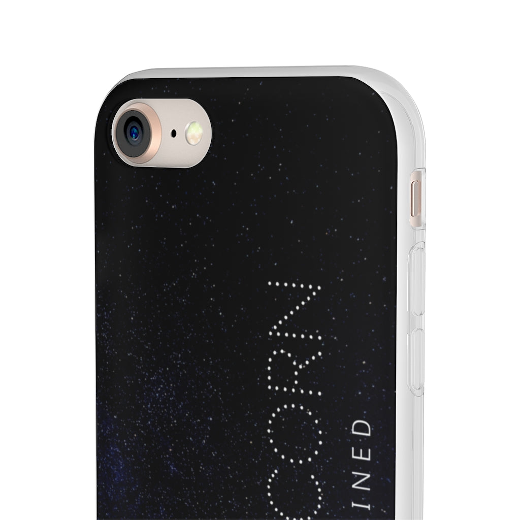 Capricorn Flexi Cases